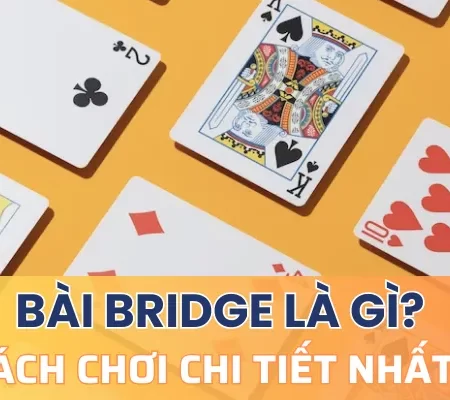 Bài bridge là gì? – Cách chơi chi tiết nhất