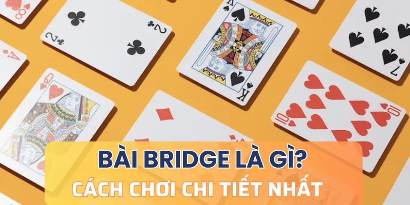 Giải đáp: Bài bridge là gì?